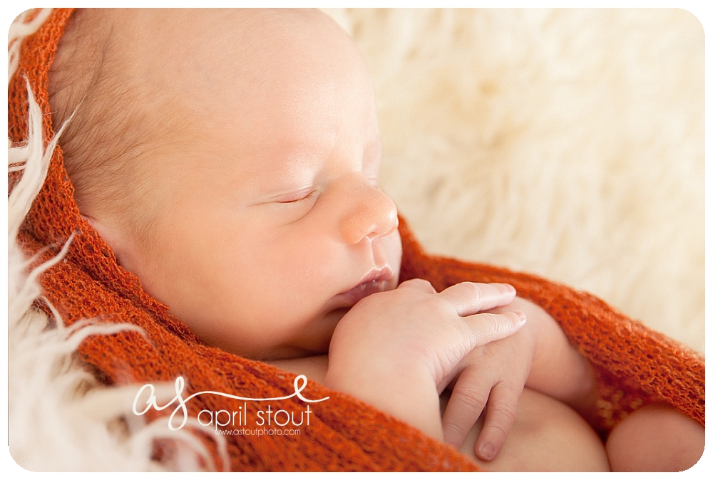 newborn pictures Tulsa