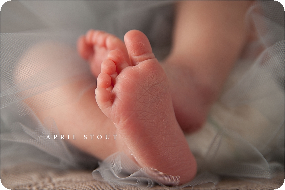 newborn photographers tulsa