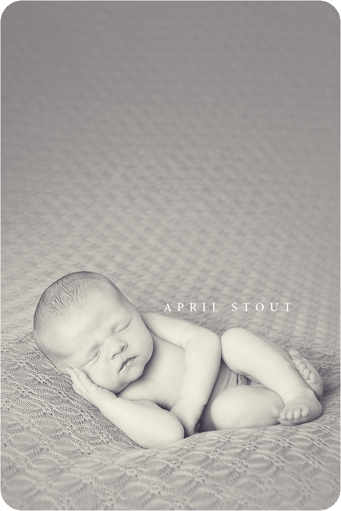 baby newborn photographers oklahoma