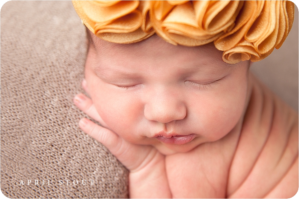muskogee newborn baby photographers